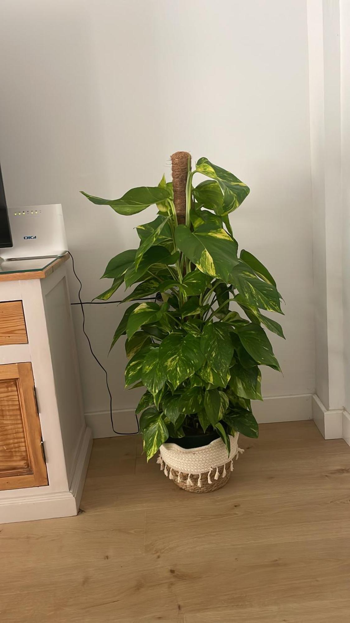 Exclusivo Apartamento Cerca De La Playa Малага Екстериор снимка